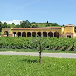 Monte Tondo Winery , Soave (Verona) Italy